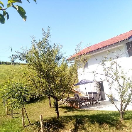 Вилла Grajsko Метлика Экстерьер фото