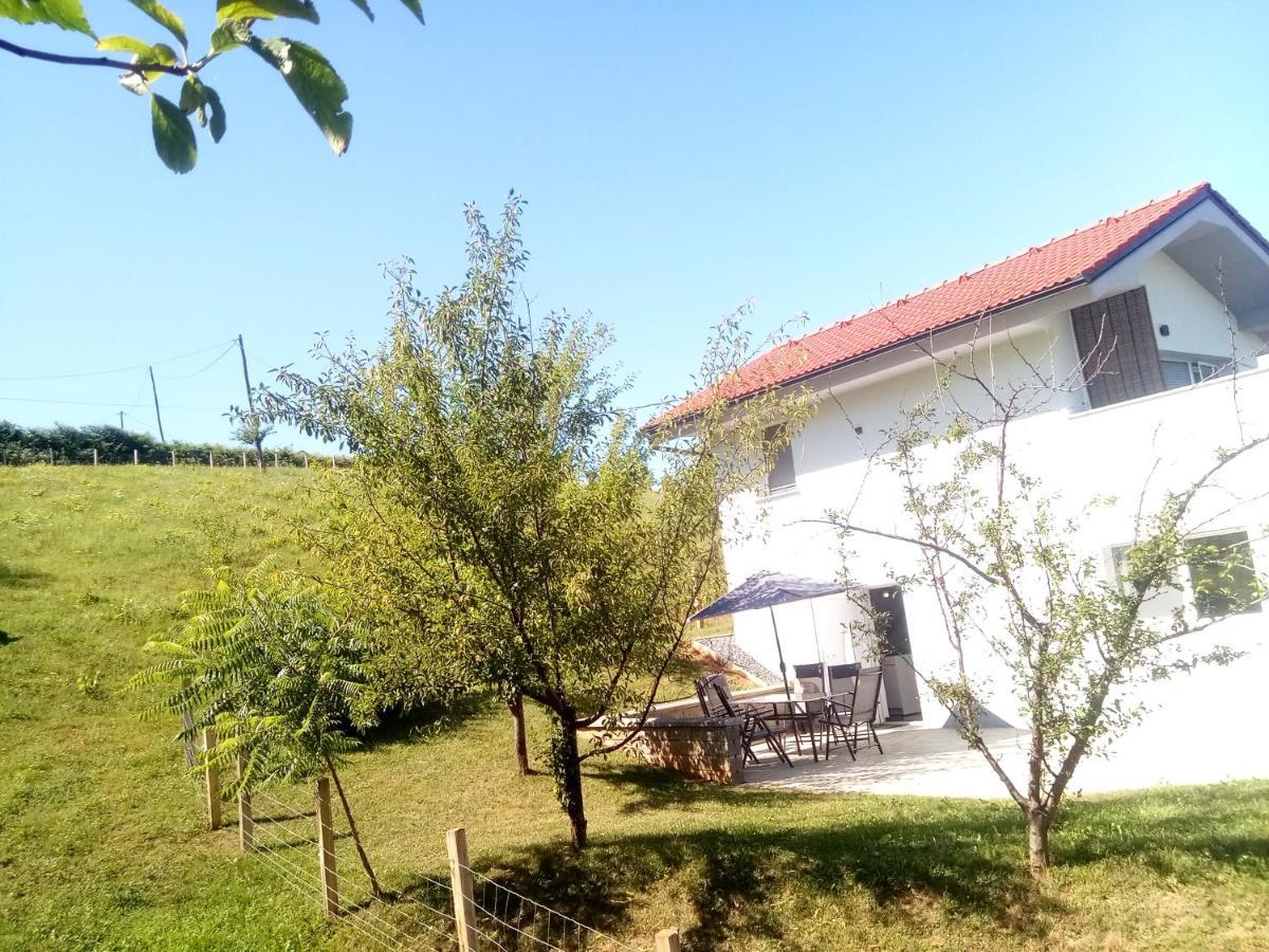 Вилла Grajsko Метлика Экстерьер фото